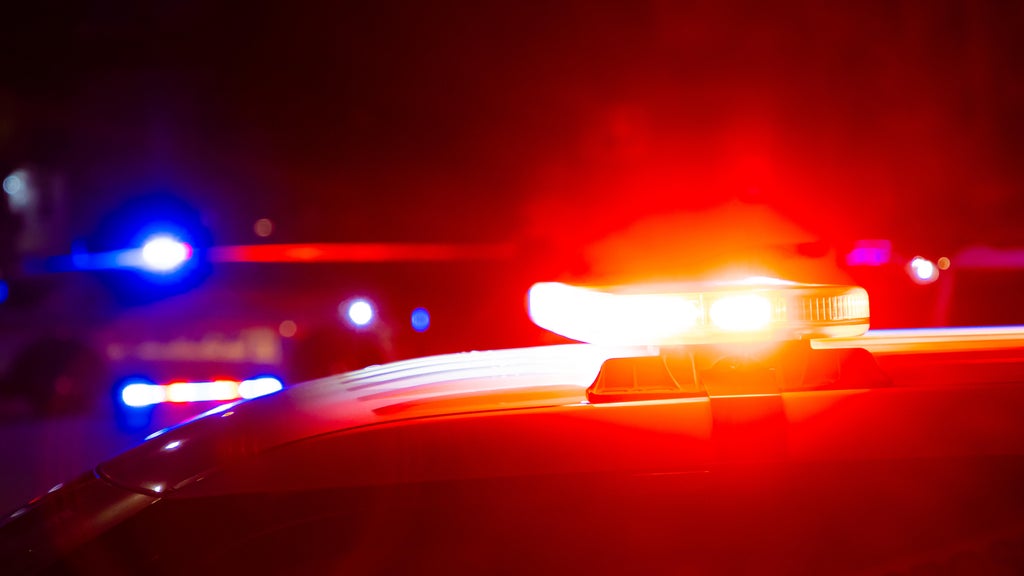 Driver killed in head-on collision with semi in central Minnesota — Minneapolis Sports news
