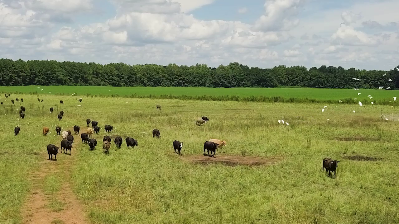 5 ON YOUR SIDE: Regenerative agriculture — Minneapolis Health news